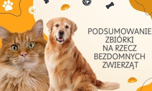 Baner z kotem i psem - Podsumowanie zbiórki na rzecz bezdomnych zwierząt