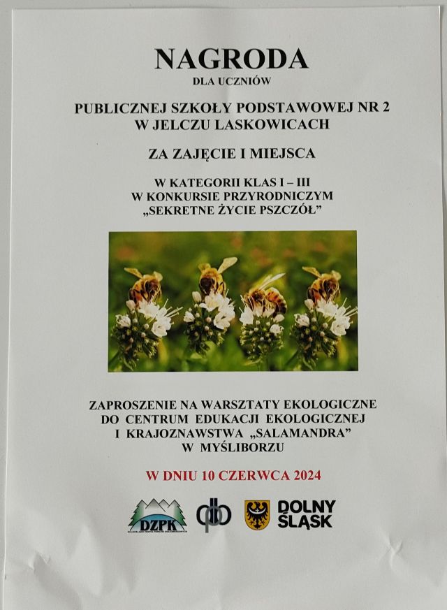 IMG20240529104449